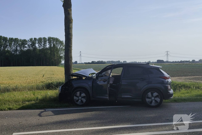 Auto knalt tegen boom langs provinciale weg