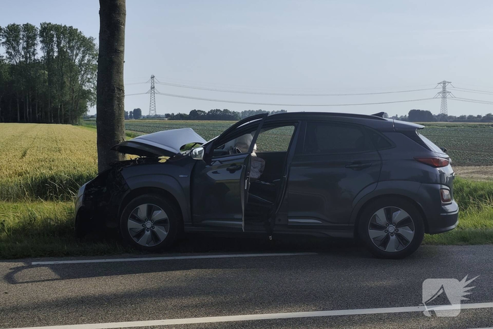 Auto knalt tegen boom langs provinciale weg