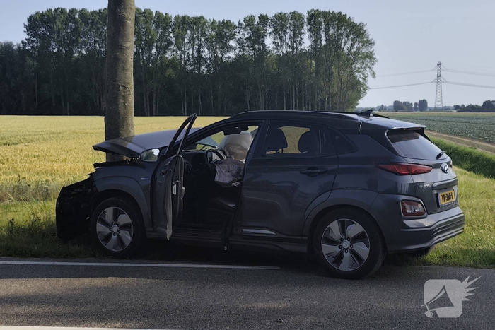 Auto knalt tegen boom langs provinciale weg