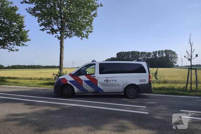 Auto knalt tegen boom langs provinciale weg