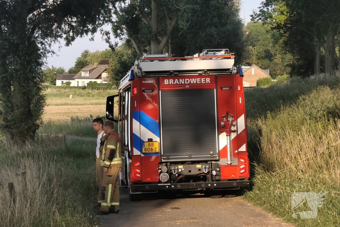 Hulpdiensten redden paard uit sloot