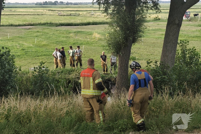 Hulpdiensten redden paard uit sloot