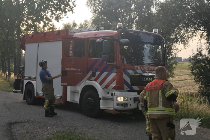 Hulpdiensten redden paard uit sloot