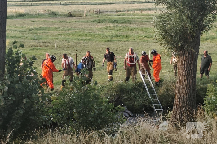 Hulpdiensten redden paard uit sloot