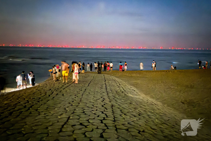 Vele strandgangers op de loer voor zeevonk