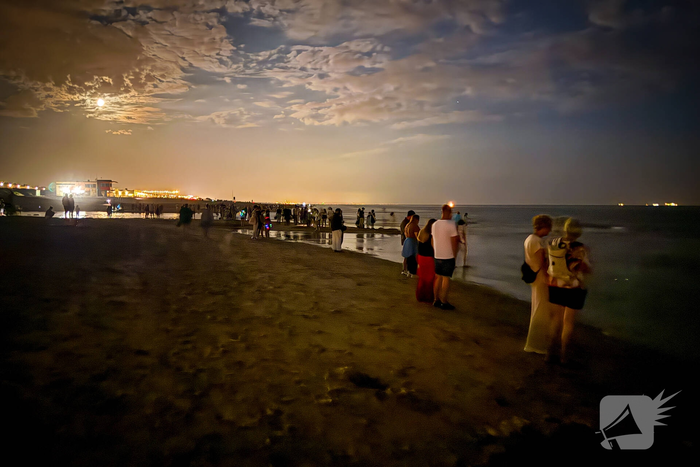 Vele strandgangers op de loer voor zeevonk