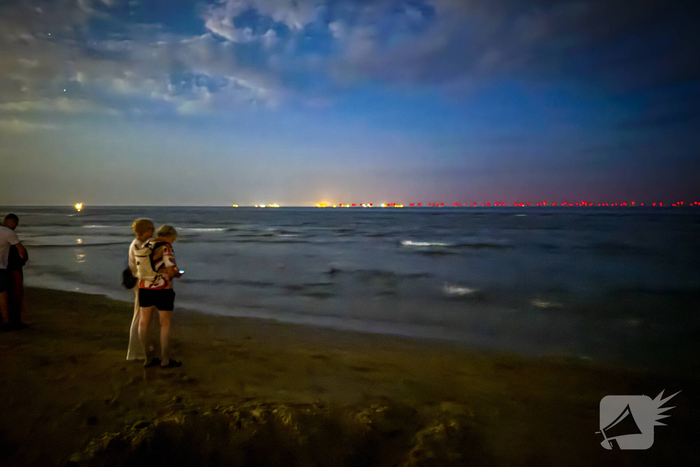 Vele strandgangers op de loer voor zeevonk