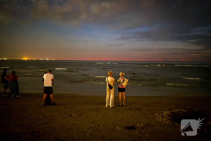 Vele strandgangers op de loer voor zeevonk