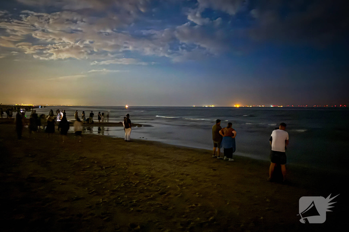 Vele strandgangers op de loer voor zeevonk