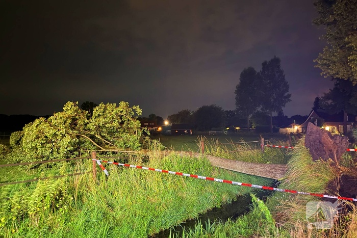Omgewaaide bomen zorgen voor inzet brandweer