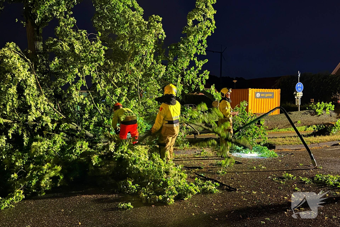 Bomen omgewaaid door storm en vernielen lantaarnpaal