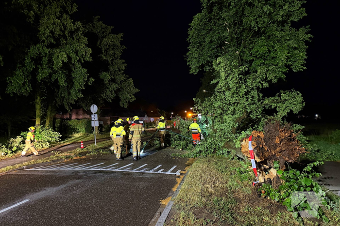 Bomen omgewaaid door storm en vernielen lantaarnpaal