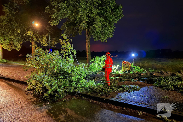 Bomen omgewaaid door storm en vernielen lantaarnpaal