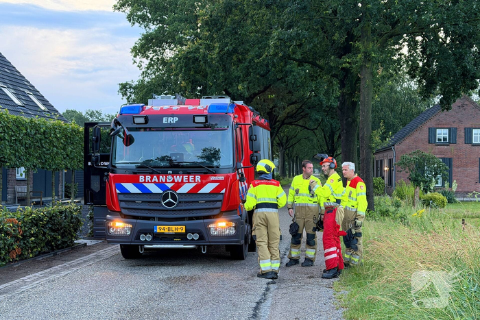 natuur trentweg erp