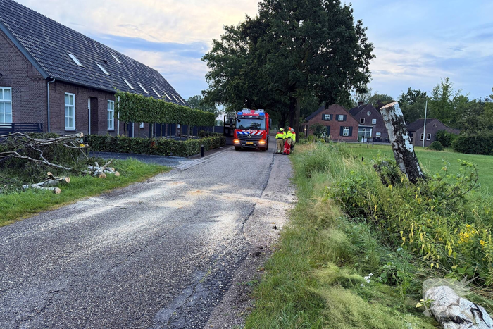 Omgevallen boom veroorzaakt schade