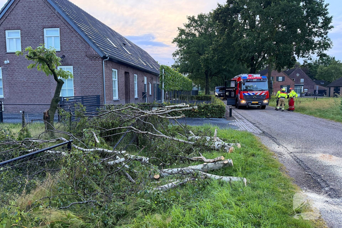 Omgevallen boom veroorzaakt schade