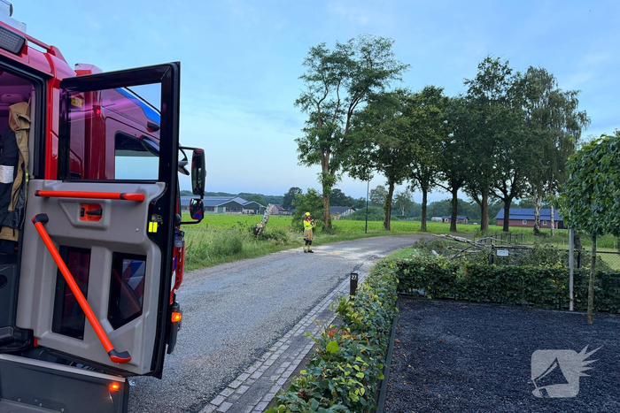 Omgevallen boom veroorzaakt schade