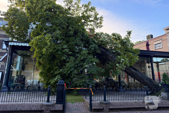 Grote boom valt op terras van cafe