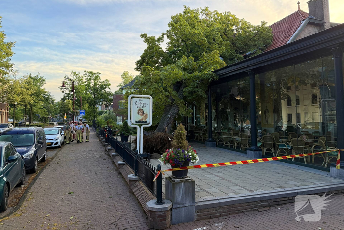 Grote boom valt op terras van cafe