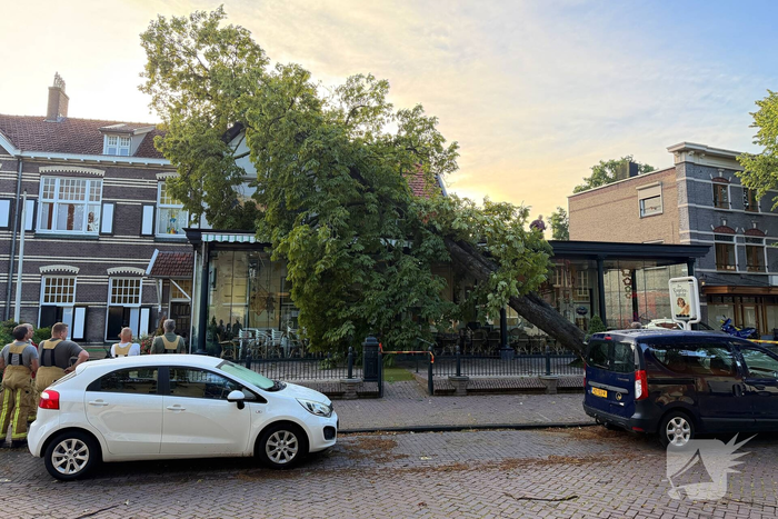 Grote boom valt op terras van cafe