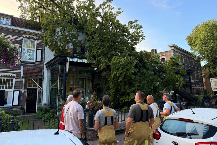 Grote boom valt op terras van cafe