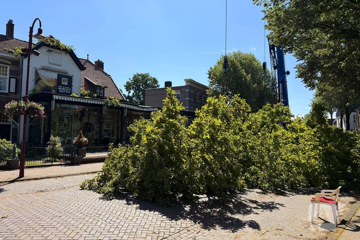 Grote boom valt op terras van cafe
