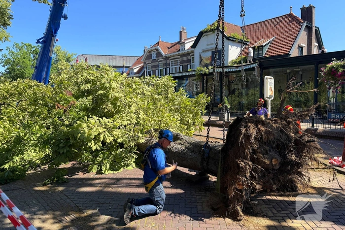 Grote boom valt op terras van cafe
