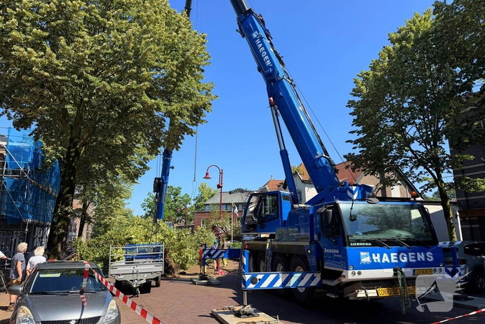Grote boom valt op terras van cafe