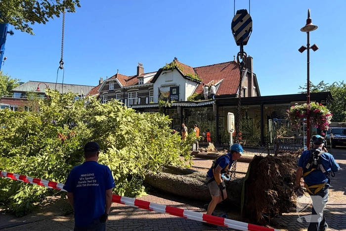Grote boom valt op terras van cafe