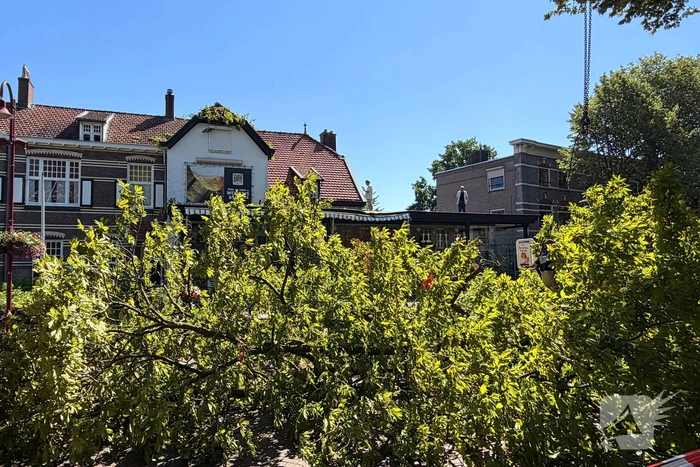 Grote boom valt op terras van cafe