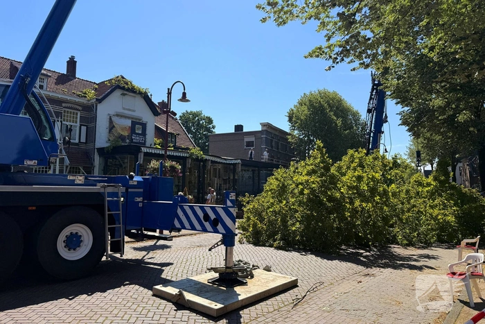 Grote boom valt op terras van cafe