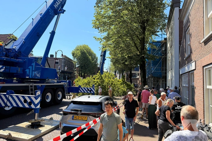 Grote boom valt op terras van cafe