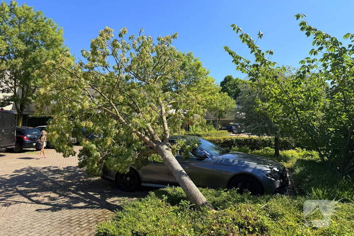 natuur hezelaar gemert