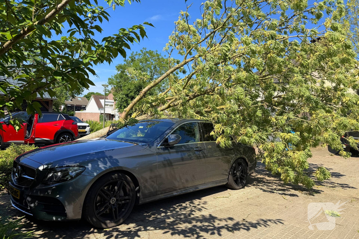 Boom valt op geparkeerde auto