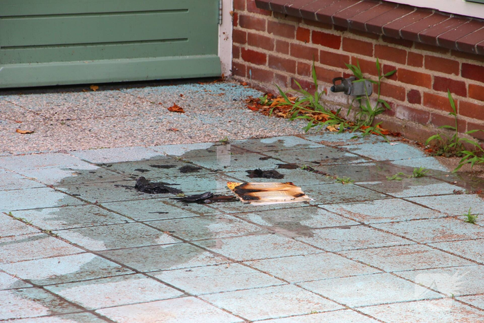 Boek uit gesloopte minibieb gehaald en in brand gestoken