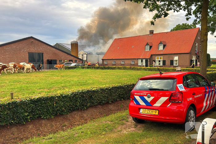 Brand in koeienstal leidt tot aanzienlijke schade