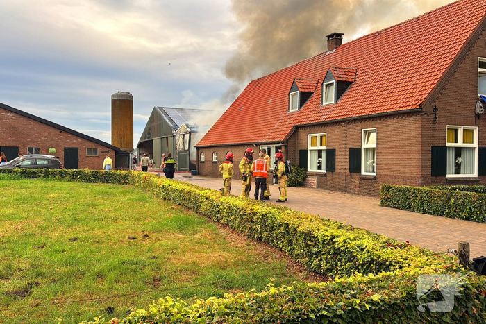 Brand in koeienstal leidt tot aanzienlijke schade
