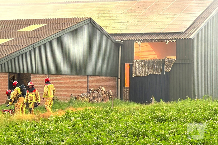 Brand in koeienstal leidt tot aanzienlijke schade