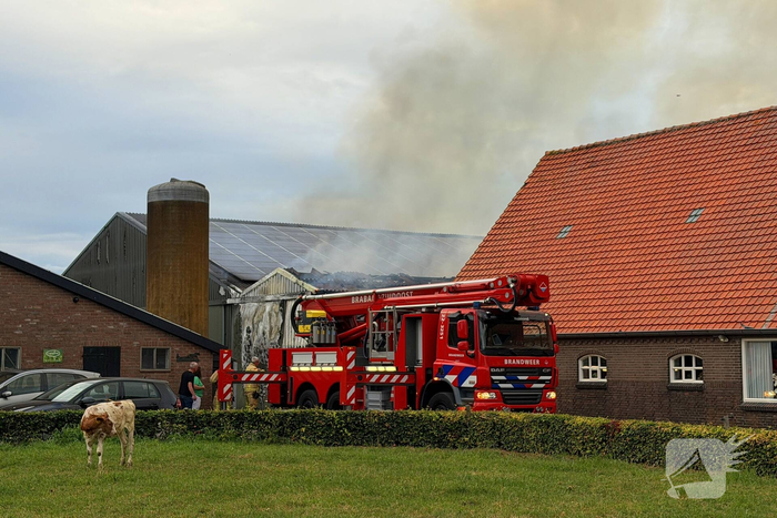 Brand in koeienstal leidt tot aanzienlijke schade