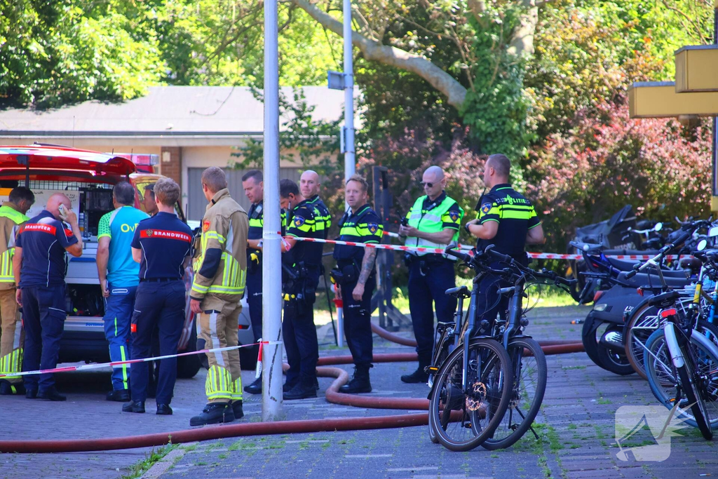 Titus Brandsmalaan Nieuws Leiden 