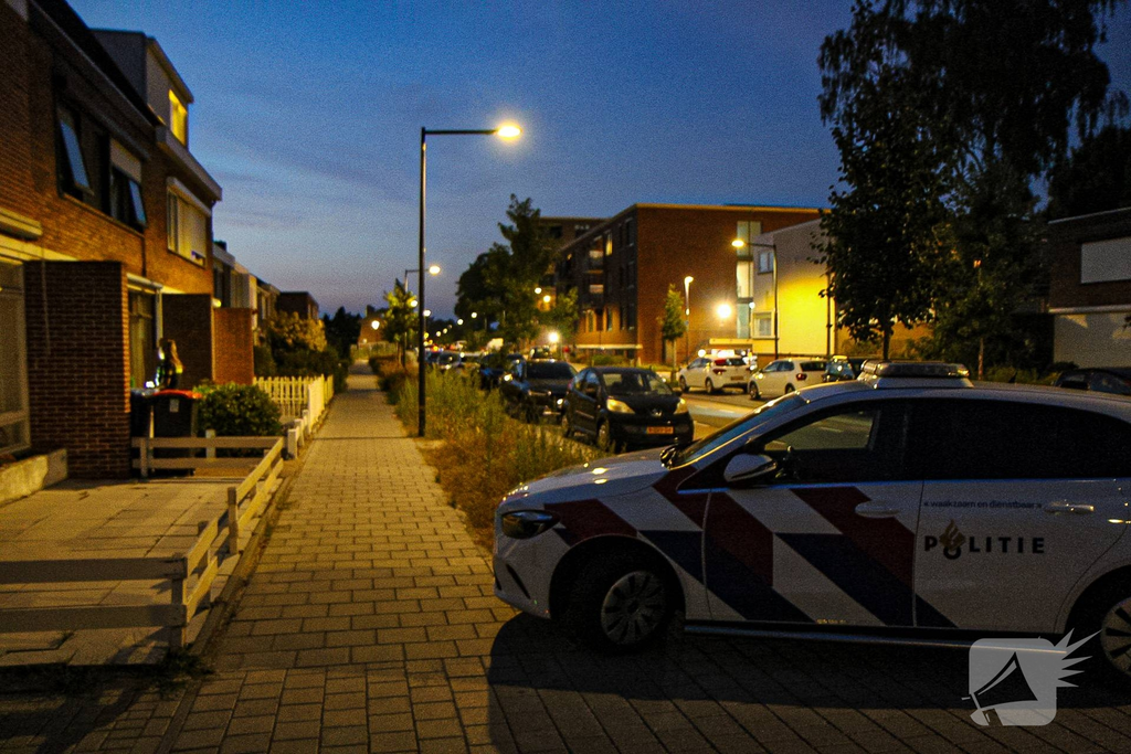 Kastanjelaan Bergen op Zoom 112 