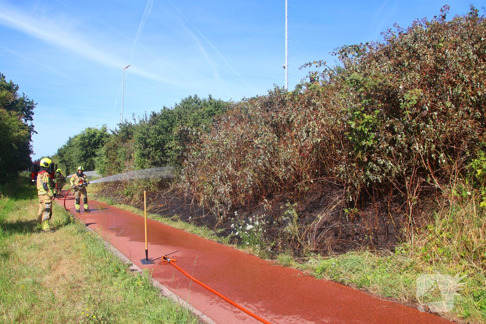 Brand verwoest bosschages