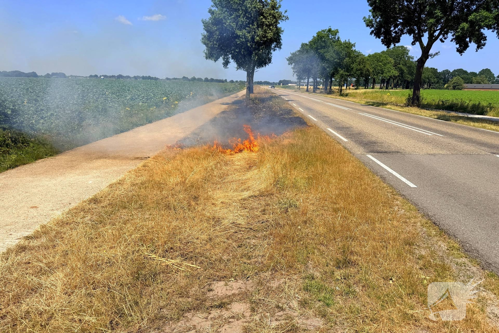 Brand in berm veroorzaakt alarmering
