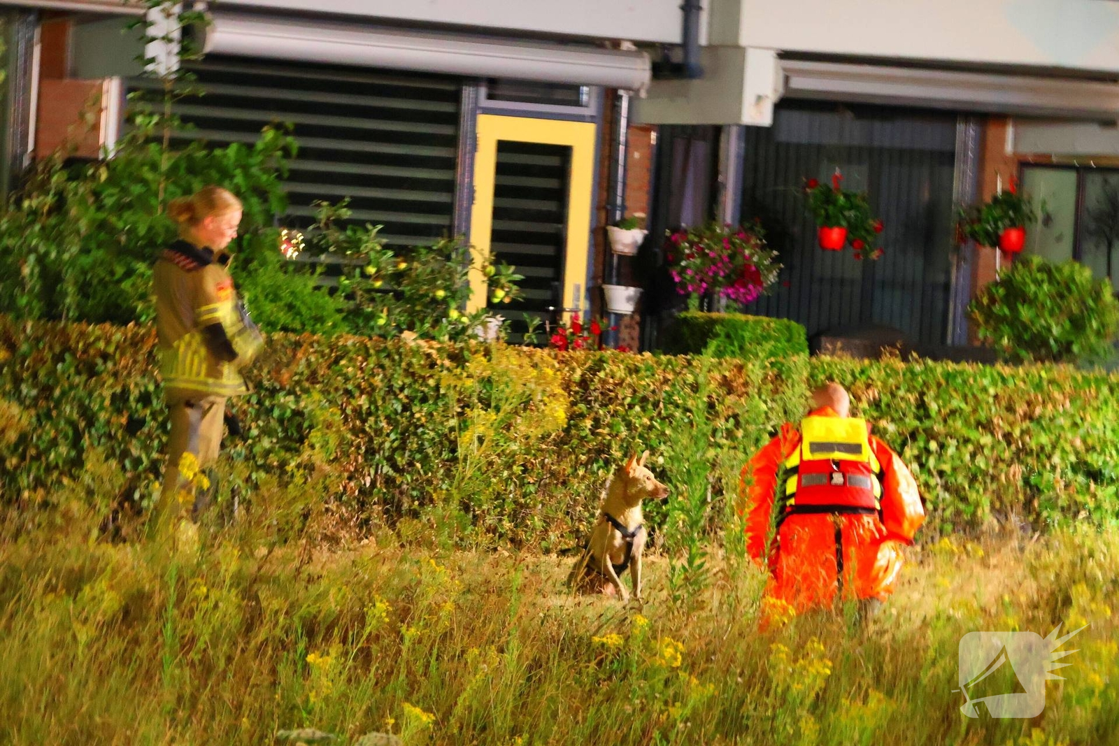Hond gered na reddingsactie uit het water