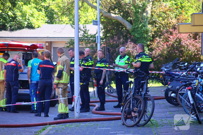 nieuws titus brandsmalaan leiden