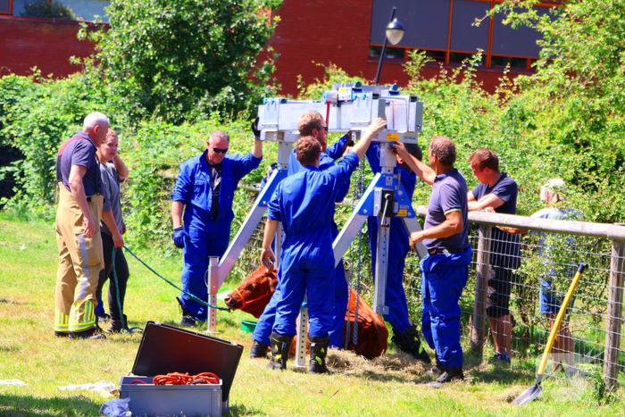 nieuws wageningseberg amersfoort
