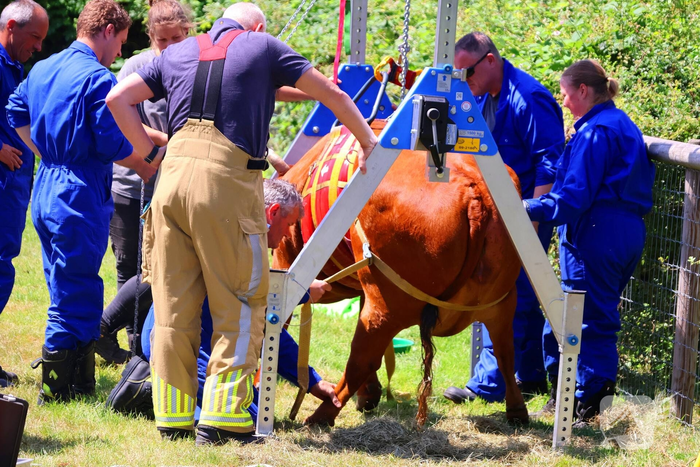Dierenredding trekt veel bekijks op natuurboerderij