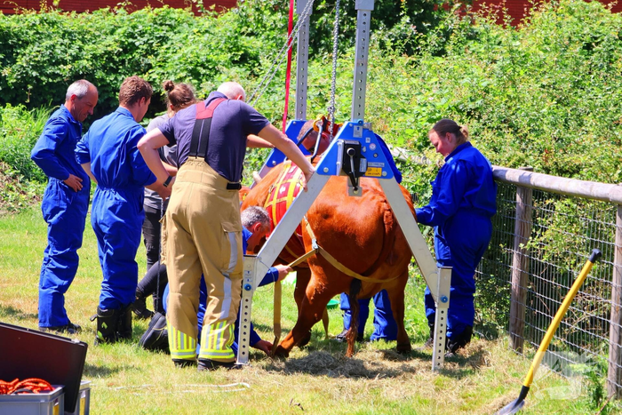 Dierenredding trekt veel bekijks op natuurboerderij