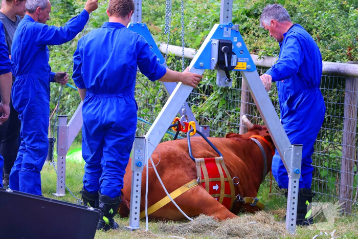 Dierenredding trekt veel bekijks op natuurboerderij