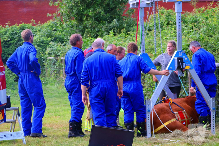 Dierenredding trekt veel bekijks op natuurboerderij